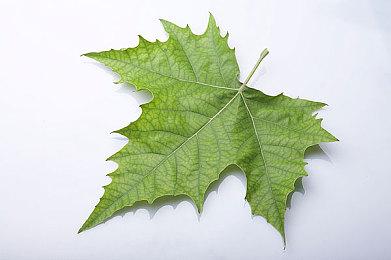 《原子之心》DLC“困在地狱边缘”明年2＆6推出